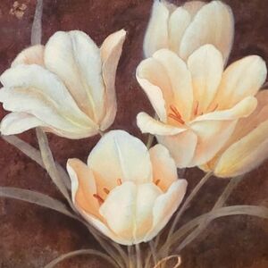 *Unlisted Item(s)‎ For Live Shows*